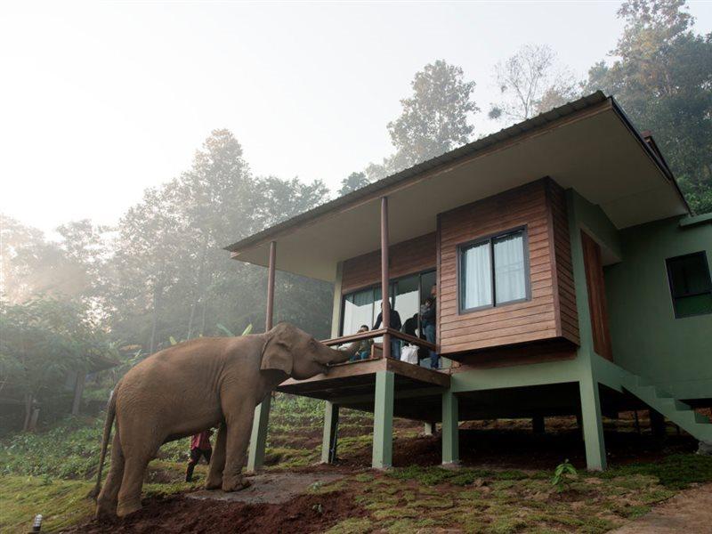 Chiang Mai Elephant Friends Exteriér fotografie
